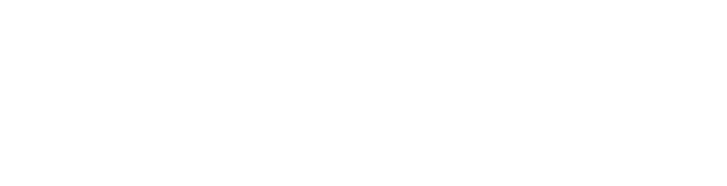 Avie Global